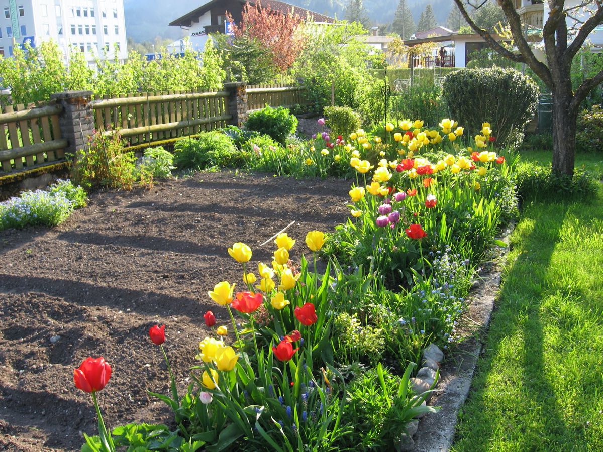 Gemüsegarten im Frühling – Das Bauernhaus