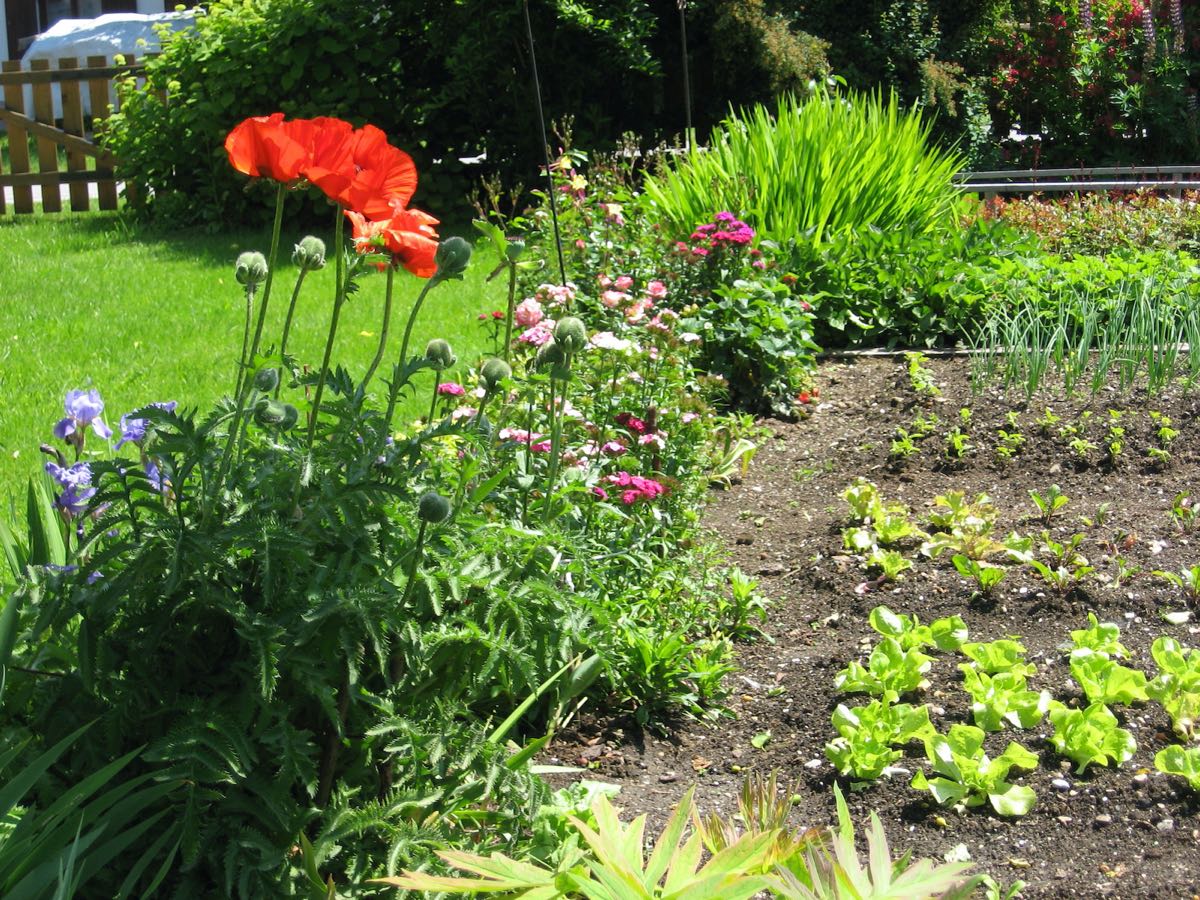 Blumenbeet am Haus – Das Bauernhaus