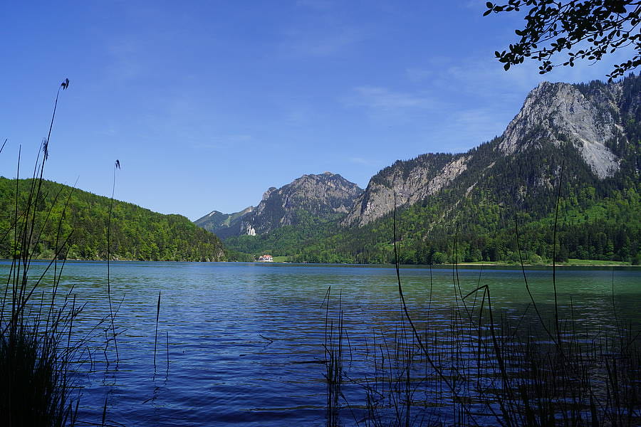 Der Alpsee bei Schwangau – Schwangau & Füssen