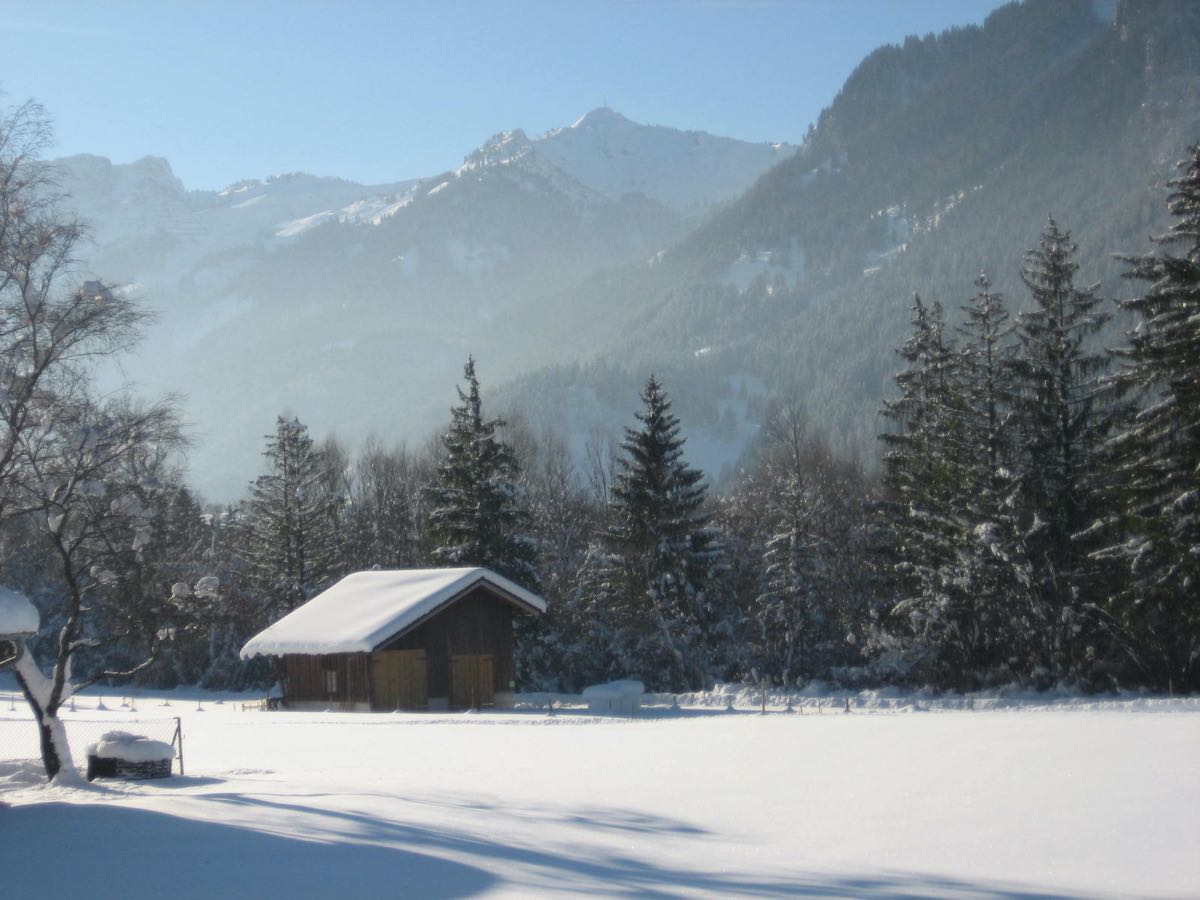 Der Stall im Winter – Unsere Schafe im Stall