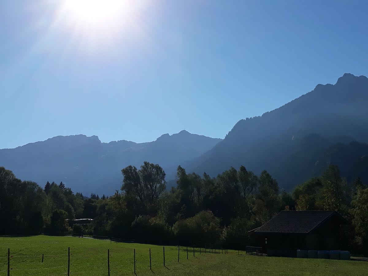 Aussicht vom Stall – Unsere Schafe im Stall